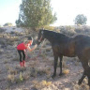 Meet your Posher, Jan